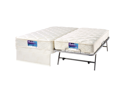 Picture of Sleepover Trundler Bed